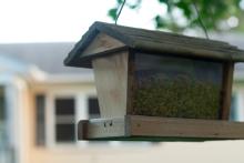 Day 25-Our Birdfeeder