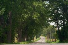 Day 29-Driving through the country