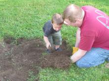 Helping dad transplant the sod to another part of the yard.