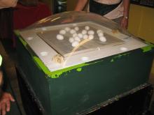 We saw baby chicks hatching in this incubator. 