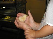 Grandma holding a chick, and James petted it! 